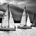 Sailboats and Storms